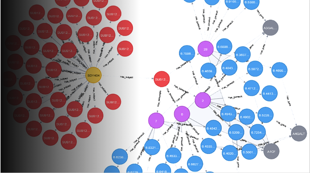 Healthcare Knowledge Graph Development
